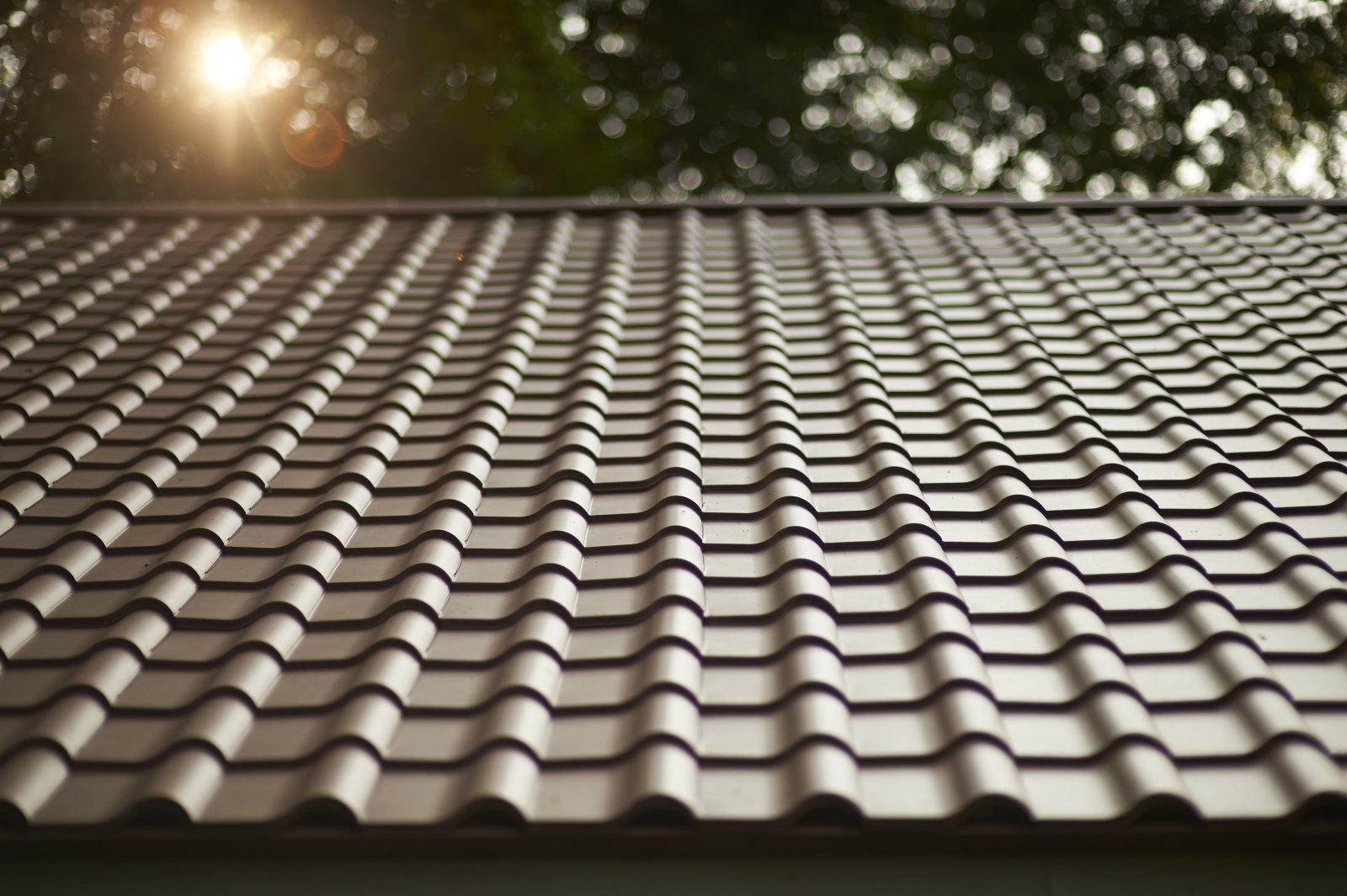 Metal Roof Replacement